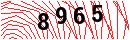 Security Verification