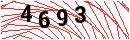 Security Verification