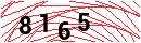 Security Verification