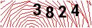 Security Verification