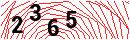 Security Verification