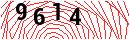 Security Verification