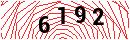 Security Verification