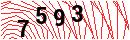 Security Verification