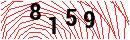 Security Verification