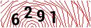 Security Verification