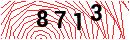 Security Verification