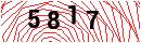 Security Verification