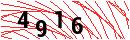 Security Verification
