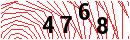 Security Verification