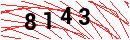 Security Verification