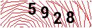 Security Verification