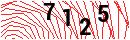 Security Verification