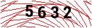 Security Verification