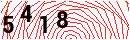 Security Verification