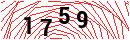 Security Verification