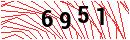 Security Verification