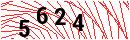 Security Verification