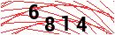 Security Verification