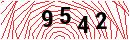 Security Verification