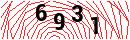 Security Verification