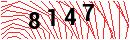 Security Verification