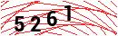 Security Verification
