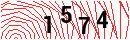 Security Verification