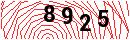 Security Verification