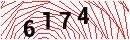Security Verification