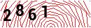 Security Verification
