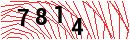 Security Verification