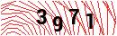 Security Verification