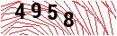 Security Verification
