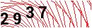 Security Verification