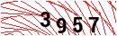 Security Verification