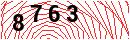 Security Verification