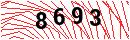 Security Verification