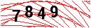Security Verification
