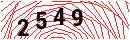 Security Verification