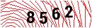 Security Verification