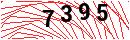Security Verification