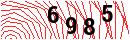 Security Verification