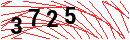 Security Verification