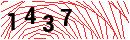 Security Verification