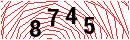 Security Verification