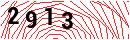 Security Verification
