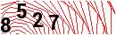 Security Verification