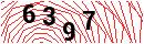 Security Verification