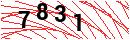 Security Verification